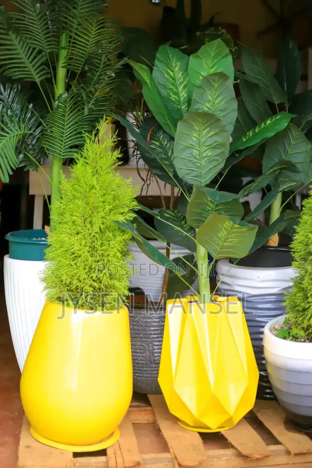 Flowers and Pots