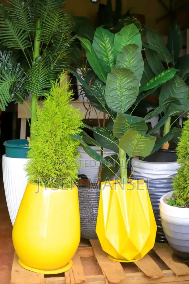 Flowers and Pots - thumbnail 3