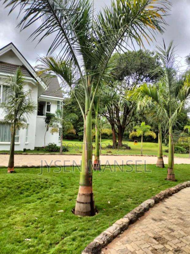 Flowers and Pots - thumbnail 5