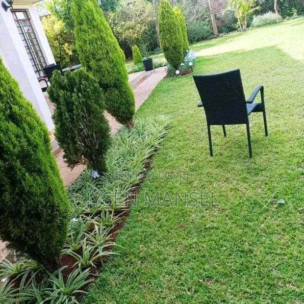 Flowers and Pots - thumbnail 8