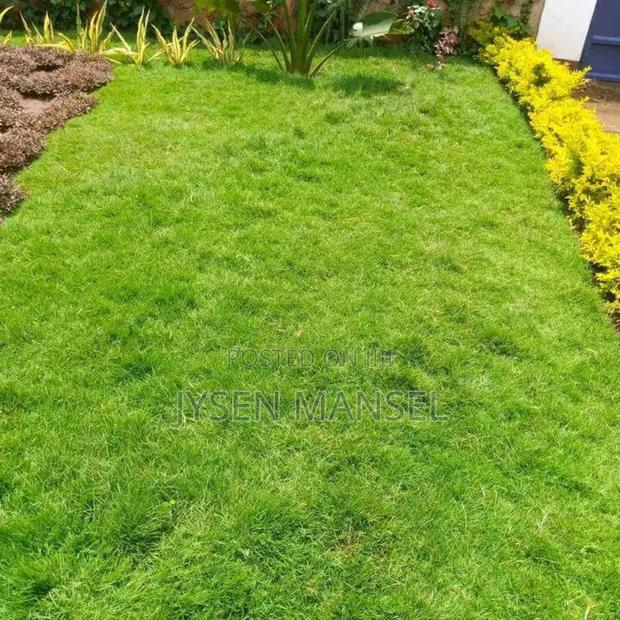 Flowers and Pots - thumbnail 9