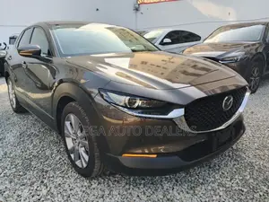 Mazda CX-30 2020 Gray