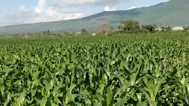 6 Acres Pieces of Land for Sale