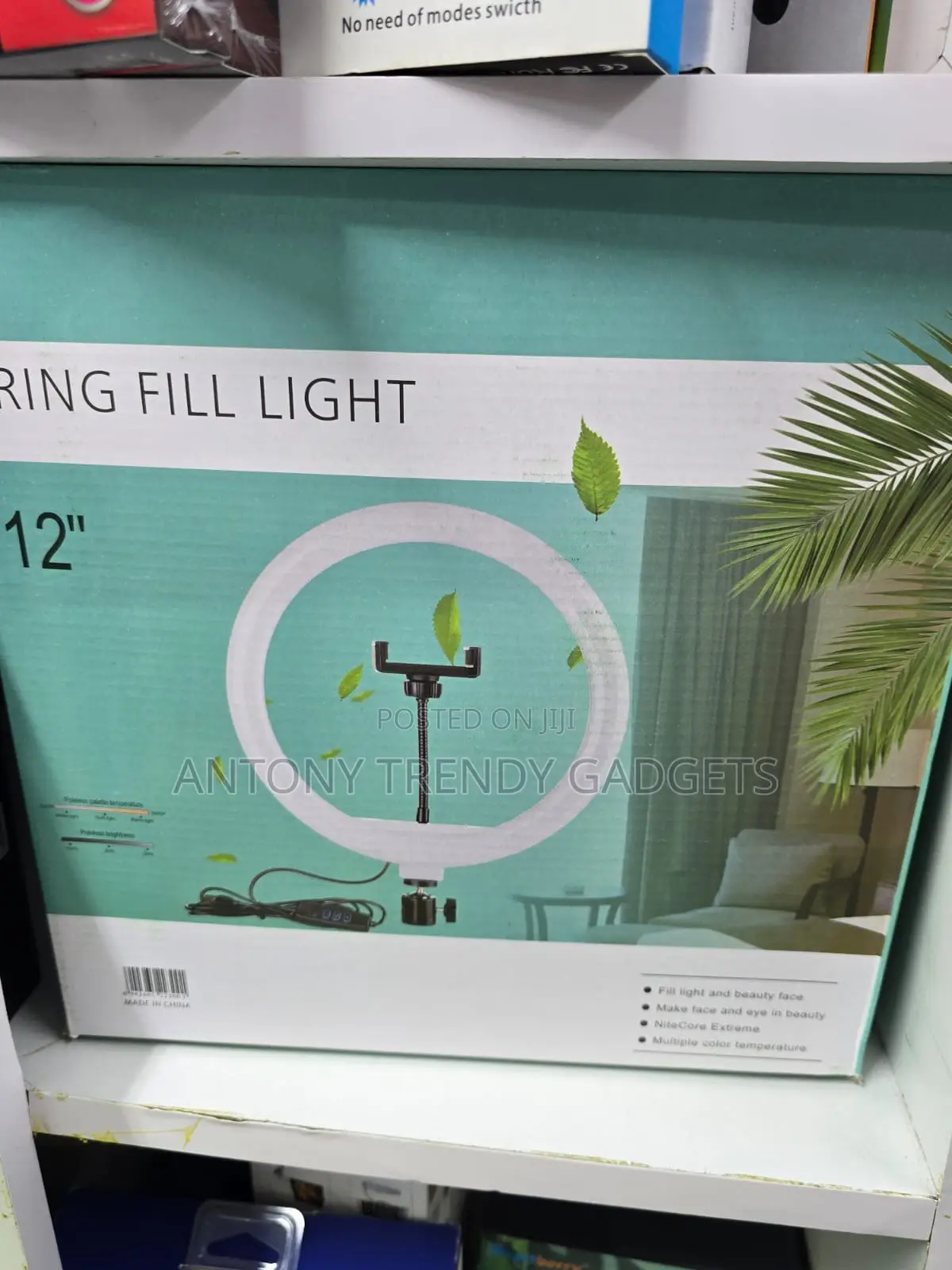 12" Ring Light With Adjustable Stand & Phone Holder