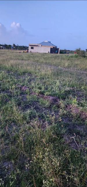 Kamulu Mutalia - thumbnail 2