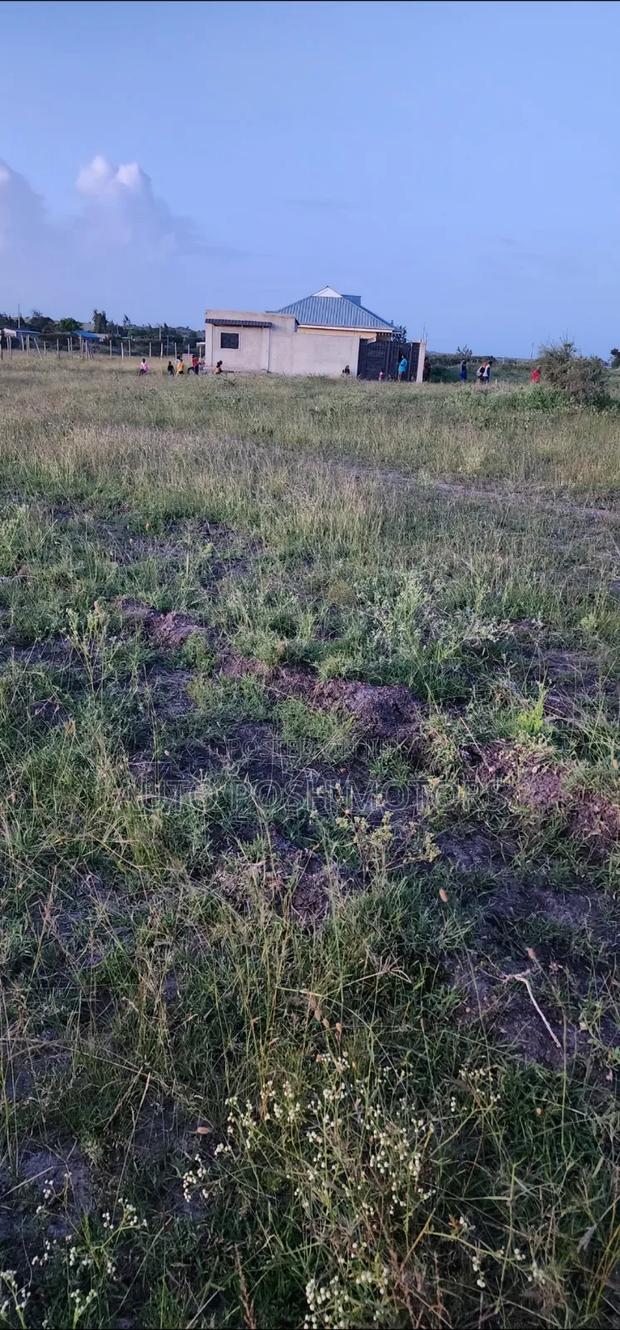 Kamulu Mutalia - main view