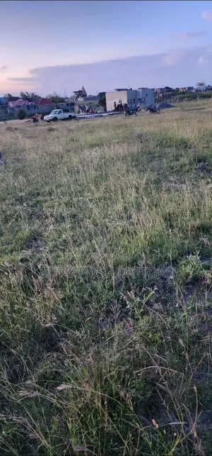 Kamulu Mutalia