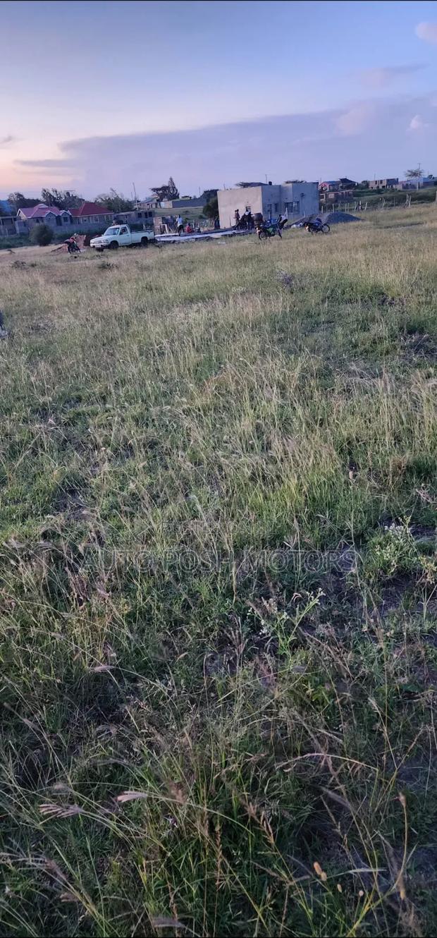 Kamulu Mutalia - thumbnail 4