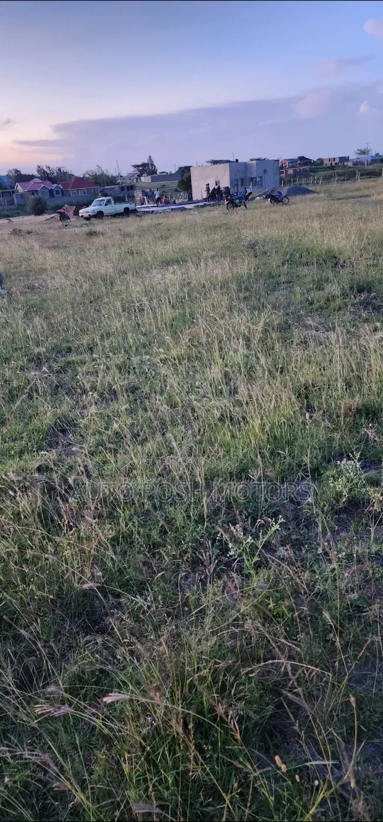 Kamulu Mutalia
