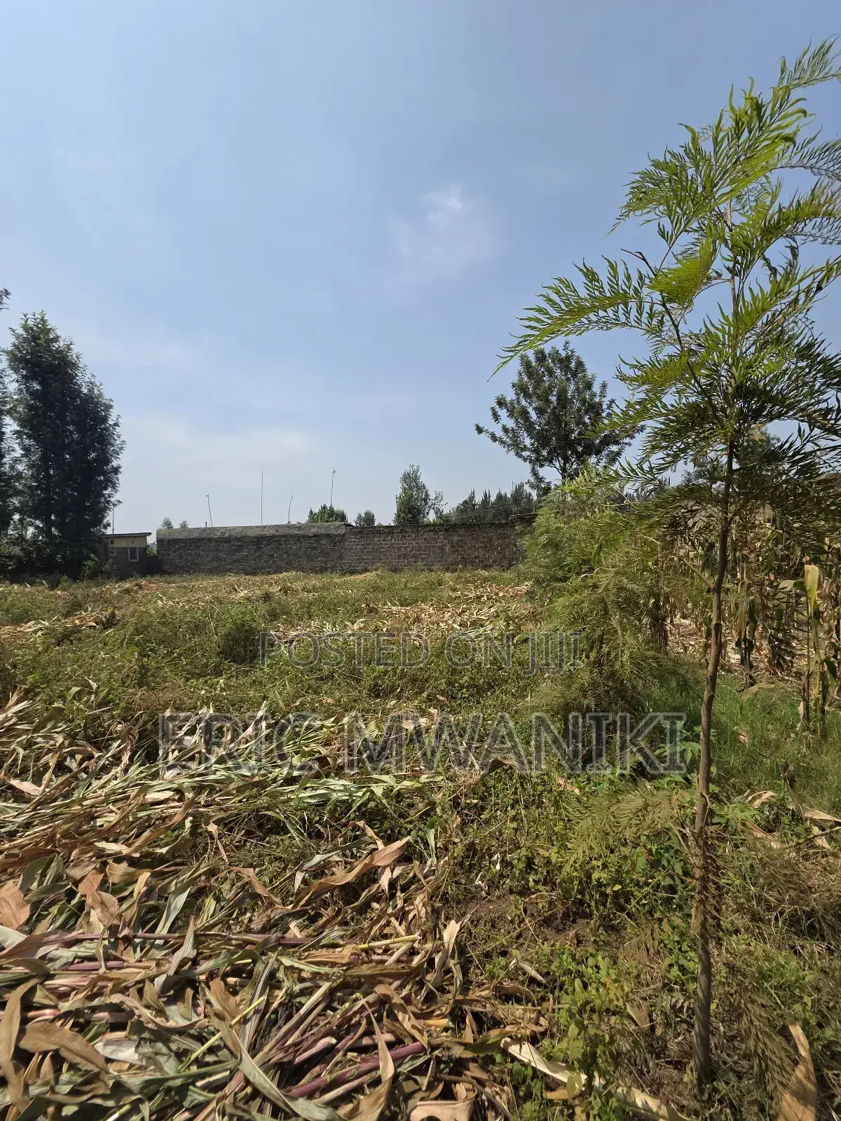 50x100 Plot for Sale in Juja, Kiahuria