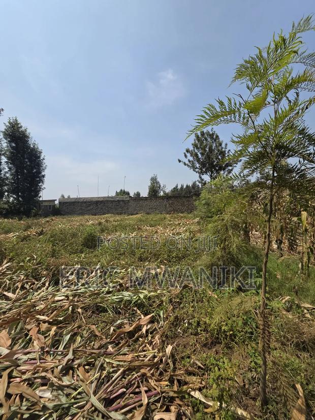 50x100 Plot for Sale in Juja, Kiahuria - main view