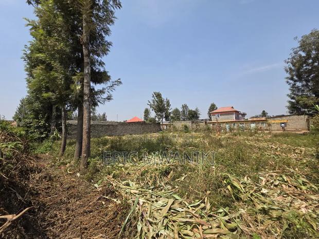 50x100 Plot for Sale in Juja, Kiahuria - thumbnail 4