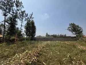 50x100 Plot for Sale in Juja, Kiahuria