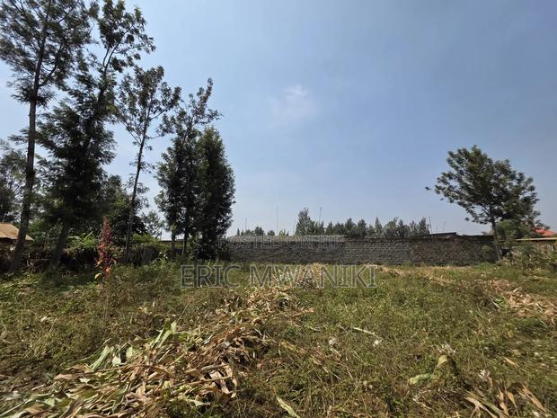 50x100 Plot for Sale in Juja, Kiahuria - thumbnail 5