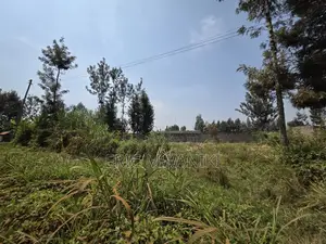 50x100 Plot for Sale in Juja, Kiahuria