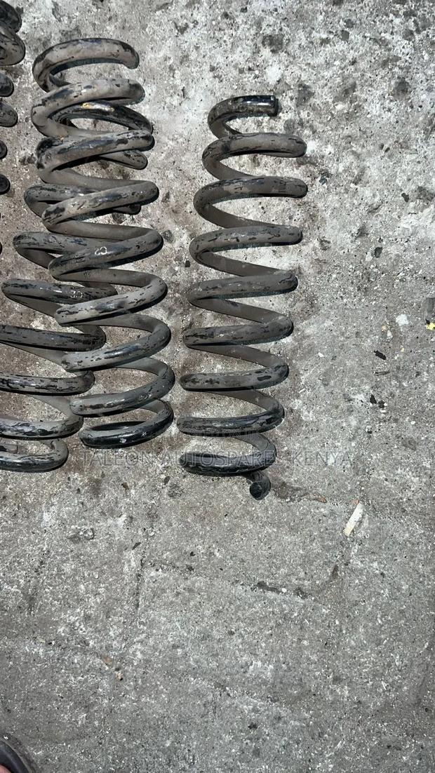 Probox New Model 2018 Rear Heavy Duty Springs
