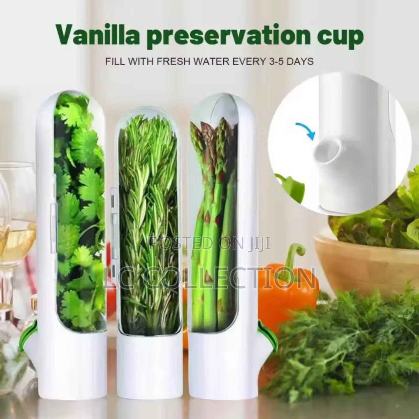Vvanilla Preservation Cup