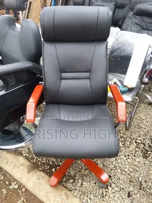 Professional Office Chair – Adjustable