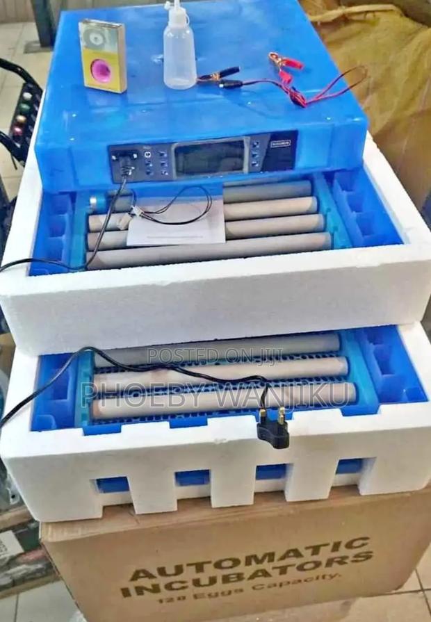 Automatic Egg Incubator/128eggs Incubator Ac/Dc - main view