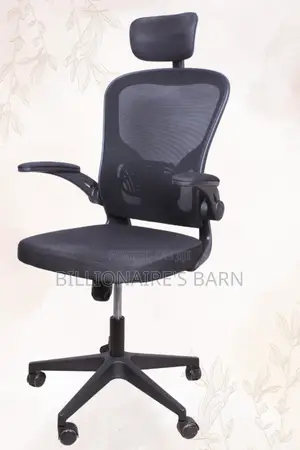 Ergonomic Office Lumbar Support Mesh Chair-Black