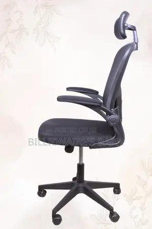 Ergonomic Office Lumbar Support Mesh Chair-Black