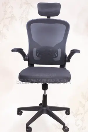 Ergonomic Office Lumbar Support Mesh Chair-Black