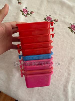 Plastic Bird Feeders - thumbnail 2