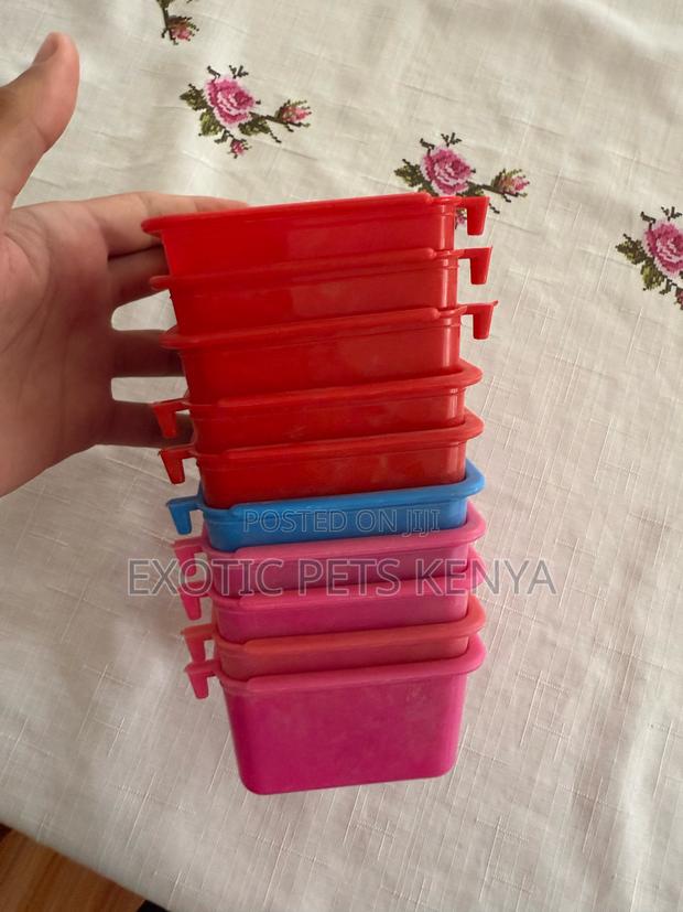 Plastic Bird Feeders - main view