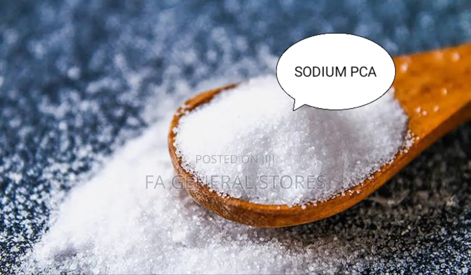 Sodium Pca (Pyrrolidone Carboxylic Acid)