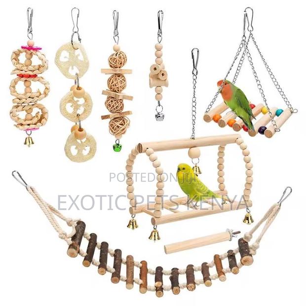 Wooden Bird Toys Set - main view