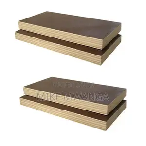 Bs 1088 Marine Plywood Boards