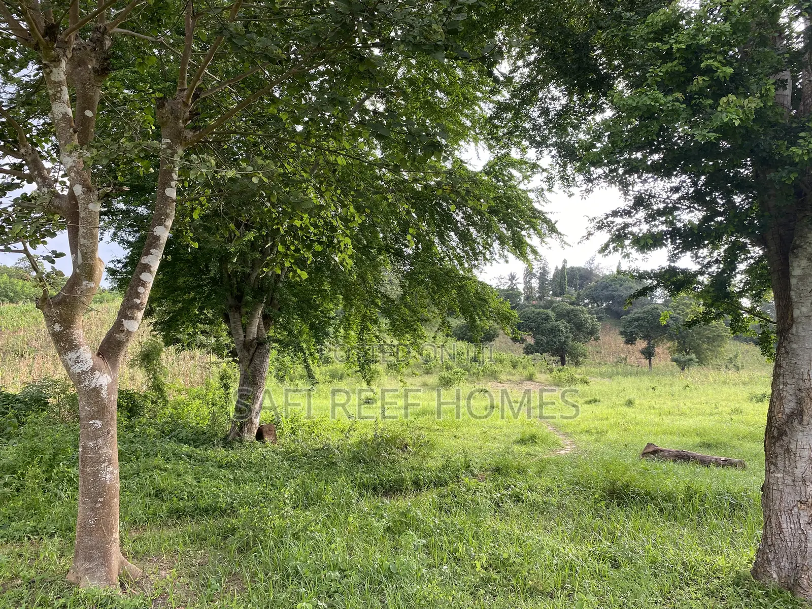 Prime Plot for Sale Mtepeni Facing the Creek View