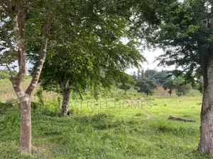 Prime Plot for Sale Mtepeni Facing the Creek View