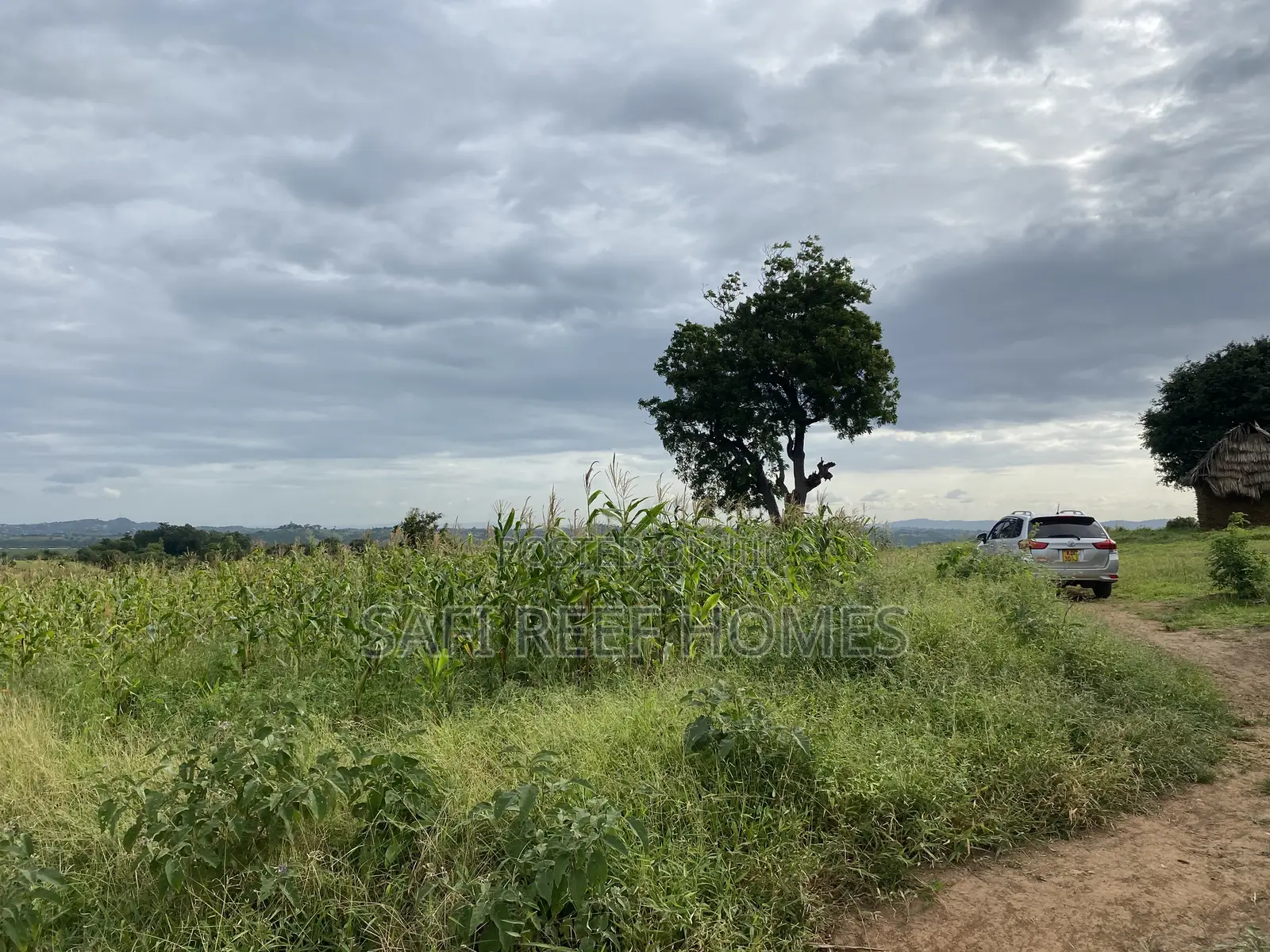 Prime Plot for Sale Mtepeni Facing the Creek View