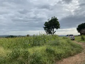 Prime Plot for Sale Mtepeni Facing the Creek View