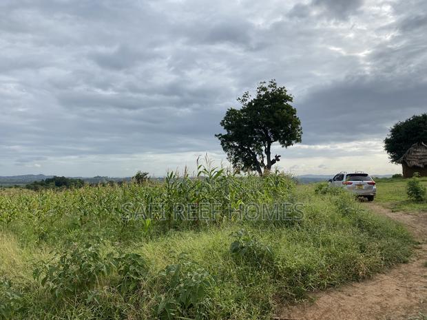 Prime Plot for Sale Mtepeni Facing the Creek View - thumbnail 6