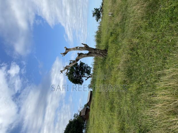 Prime Plot for Sale Mtepeni Facing the Creek View - thumbnail 10