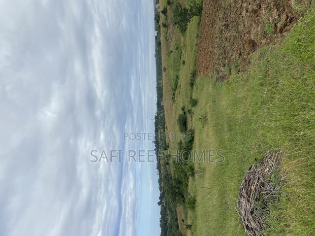 Prime Plot for Sale Mtepeni Facing the Creek View - thumbnail 7