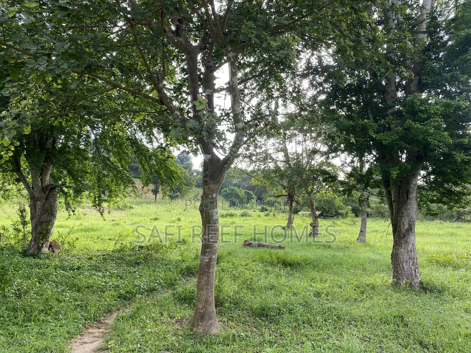 Prime Plot for Sale Mtepeni Facing the Creek View