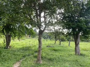 Prime Plot for Sale Mtepeni Facing the Creek View