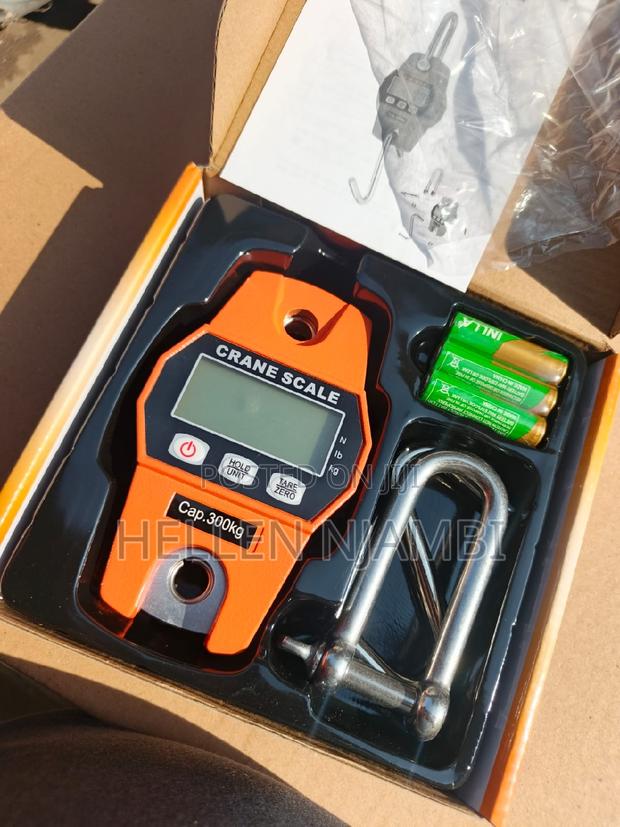 Digital Scale 300kgs Electronic Hanging Crane Scale - thumbnail 2