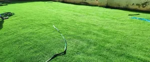 Classic Green Artificial Grass Ideal for Rental Spaces