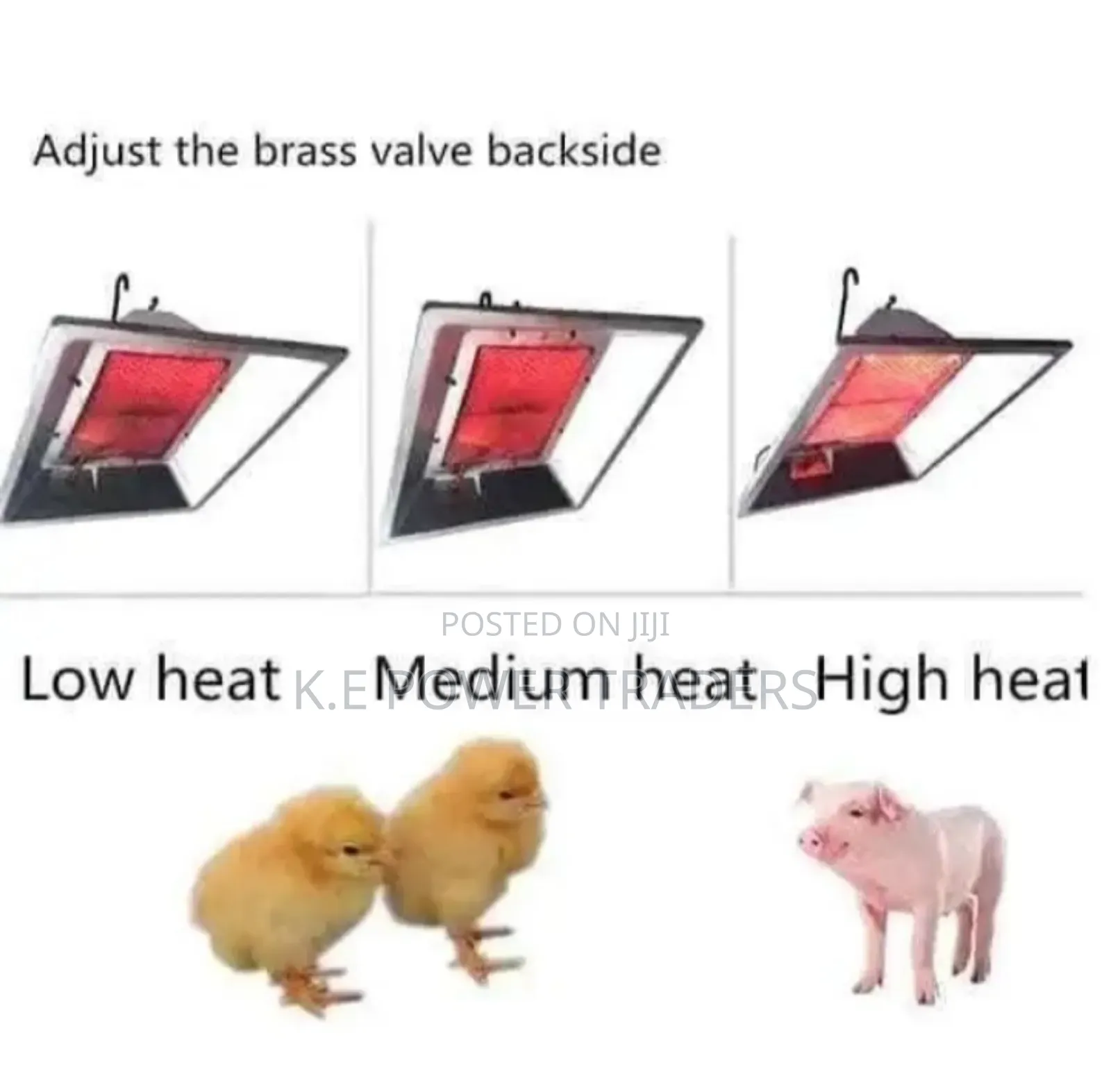 Commercial Gas Brooder