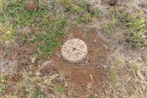 50x100 Plots for Sale - Nachu (Ngong Suswa Road)