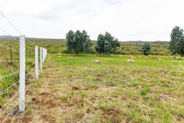 50x100 Plots for Sale - Nachu (Ngong Suswa Road) - main view