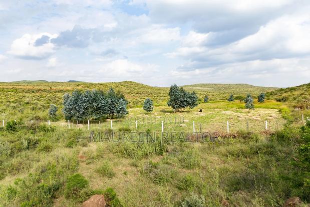 50x100 Plots for Sale - Nachu (Ngong Suswa Road) - thumbnail 5