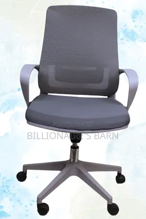 Office Chair: Mebri Mid Back Supporting Chair