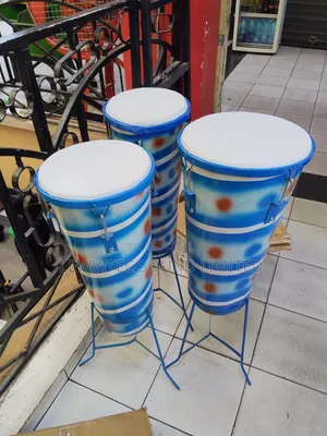 Musical Zebra Drums