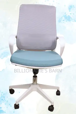 White Office Chair; Ergometric Mesh Boardroom Chair