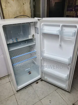 Lg Large One Door Refrigerator